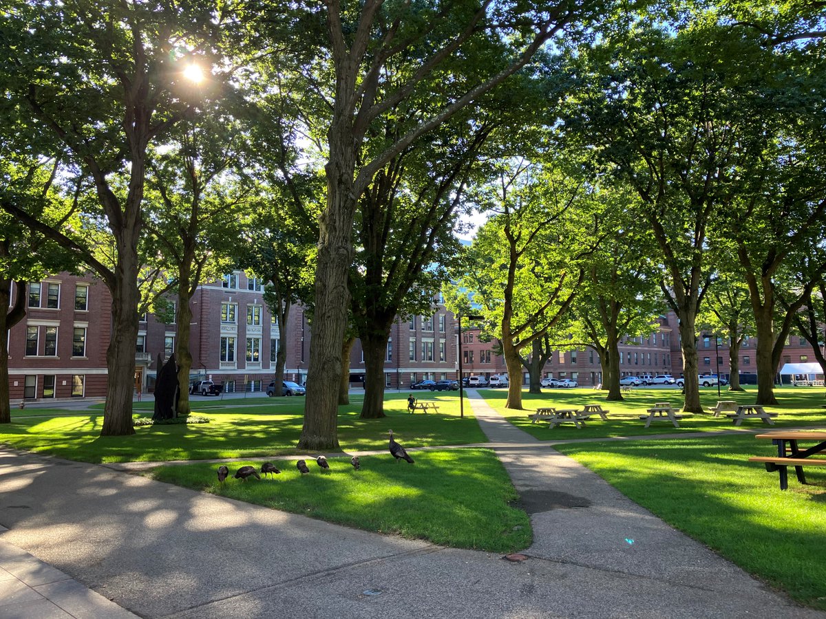 New Article: The Remedial Rationale After SFFA maximinlaw.wordpress.com/2024/11/09/new… via <a href="/EzraRosser/">Ezra Rosser</a>