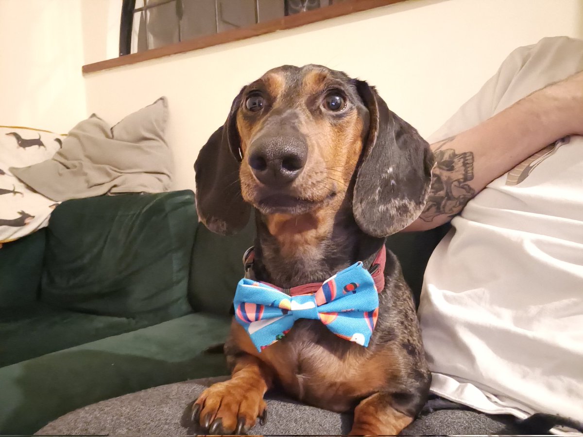 _bearByte's tweet image. We had to bring Rupert back a little something from Bristol 🎀