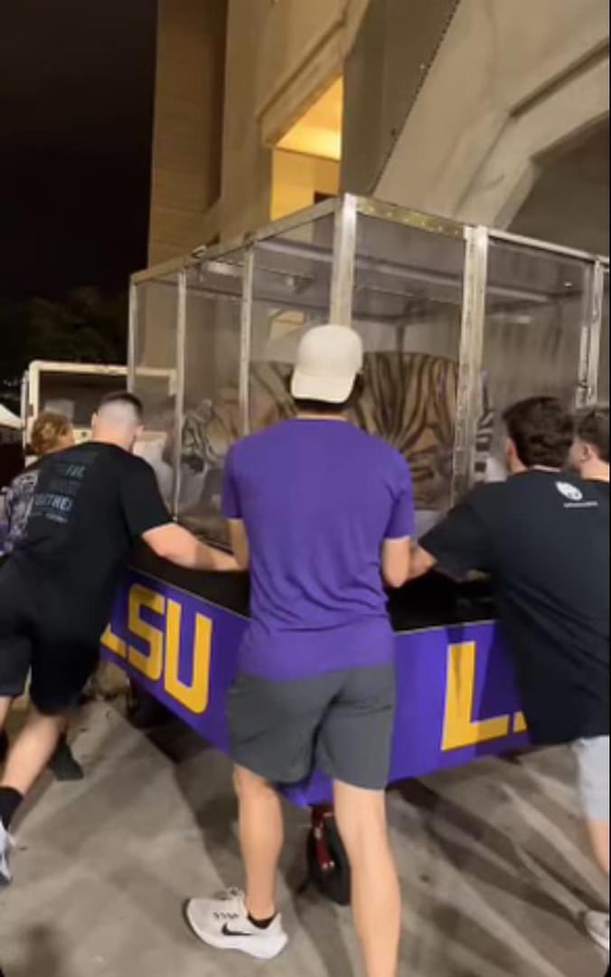 Tigah Paul 🐅 tweet media