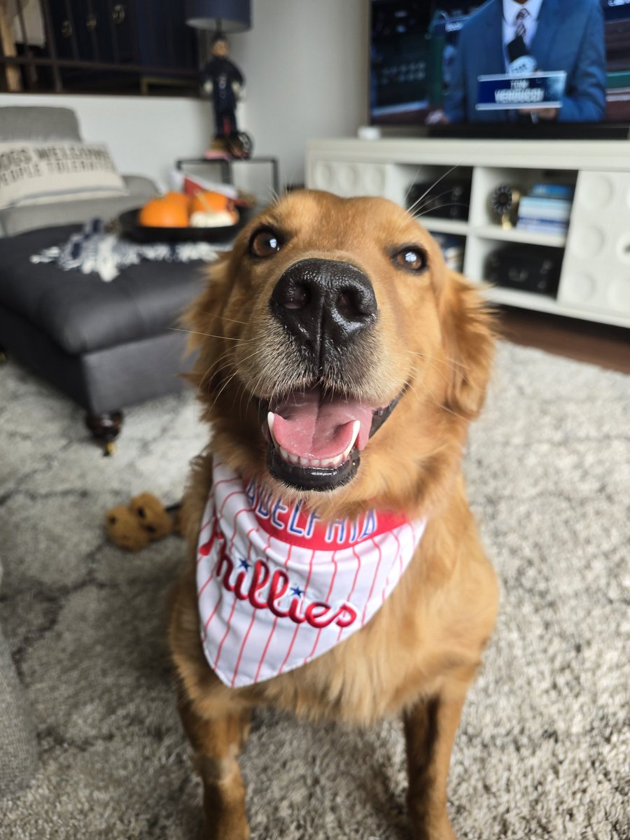 ginamhardin's tweet photo. @CollegeGameDay @KirkHerbstreit This guy is a more of a baseball fan but he goes to the beach every day in Marina del Rey so he’s here if anyone needs a hug https://t.co/jPj6WEyJ3a