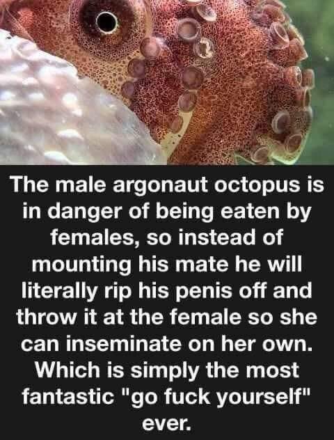 Dr Helen Ingram tweet media