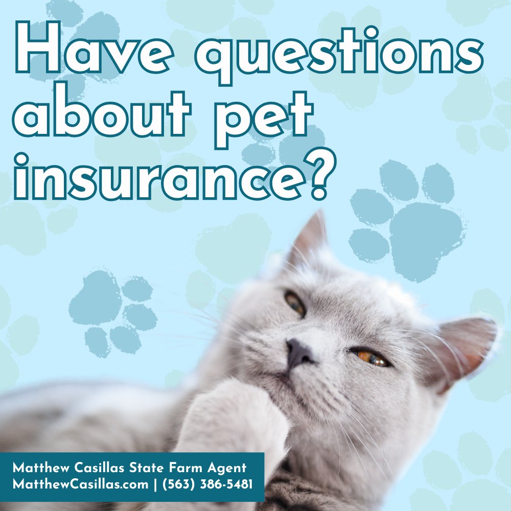 MatthewU0k7's tweet photo. Not sure about what pet insurance covers? I can help with that and all your other insurance questions. Just give me a call at (563) 386-5481! #PetInsurance #InsuranceFAQs https://t.co/1whSpYx2RH