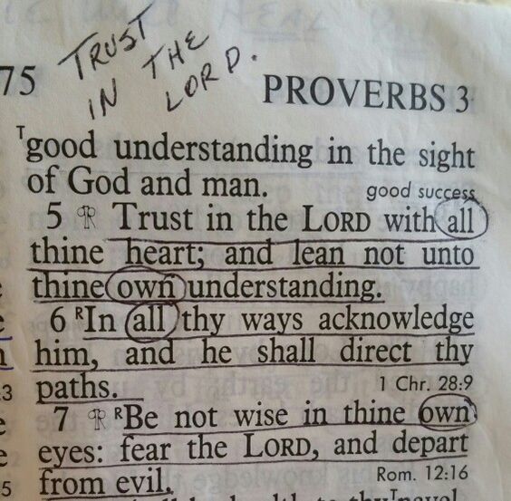 WalkwithGod7's tweet photo. Amen. https://t.co/Pac5dBQgXV