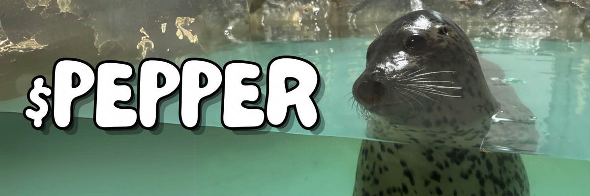 Immutab1's tweet photo. Woke up today & checked to see that $PEPPER has still has not been free’d. The goal of this @solana community is to raise awareness of her conditions and rescue her to transport her to a sanctuary where she can live the rest of her years in peace. 

@JapanGov @JapanToday @japantimes @The_Japan_News @peta 

Sign the petition on https://t.co/NwD4nV02na, support the cause with everything linked below ⬇️ 

https://t.co/R2QiZHdIQx
