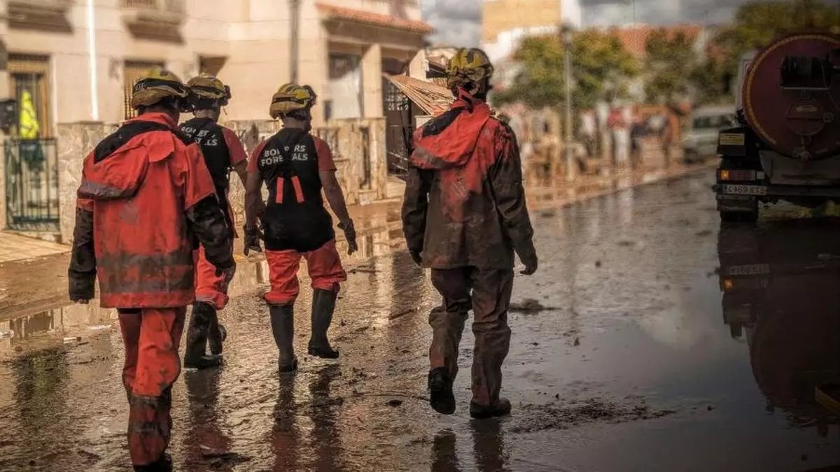 eldiariocv's tweet photo. Los bomberos forestales se quejan de haber sido infrautilizados por la Generalitat Valenciana durante la crisis de la DANA
https://t.co/UMcXNL2HON https://t.co/I3s2dTrr5Z