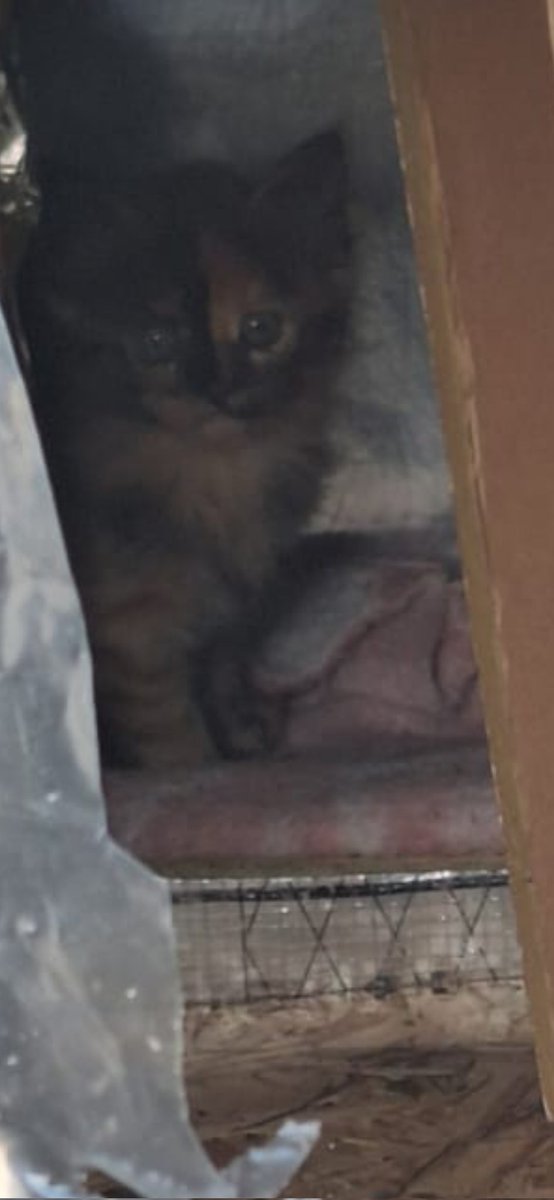 Quieren sacarnos de la calle, las ayudas? 
Madrid 650238702 habla con Patri llega el frío, las lluvias