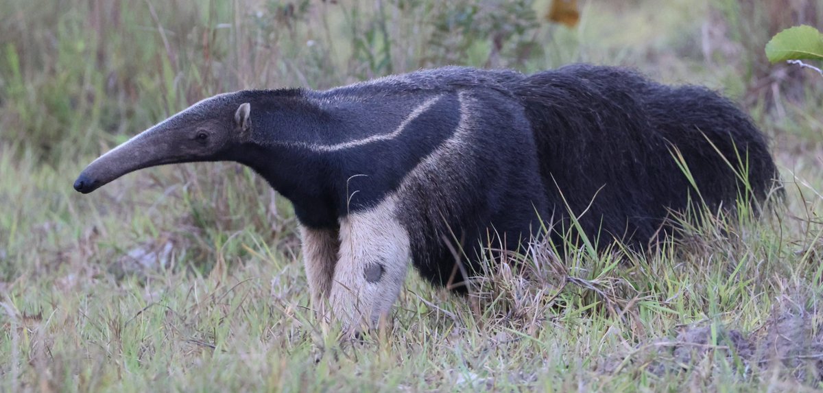 Simon Pinder tweet media