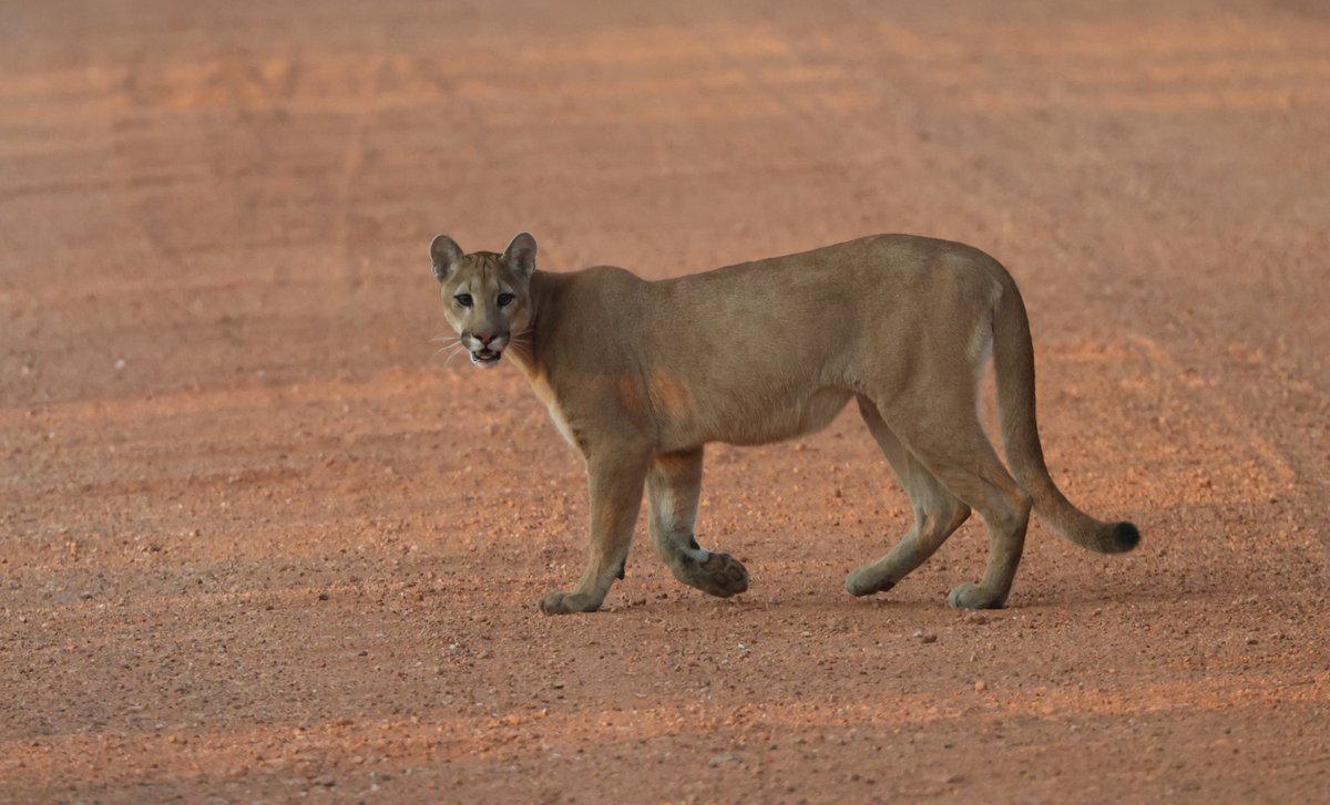 Simon Pinder tweet media