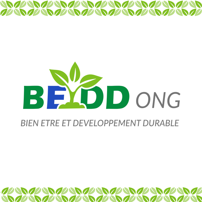 Un nouveau chapitre pour B.E.D.D ! 🌍 Voici notre ancien logo, symbole de nos débuts, et notre nouveau logo, une image plus moderne et vibrante de notre mission. Que pensez-vous de cette évolution ? 💬 #NouveauLogoBEDD #DéveloppementDurable"
