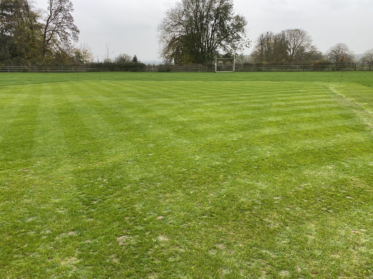 Alex Exton tweet media