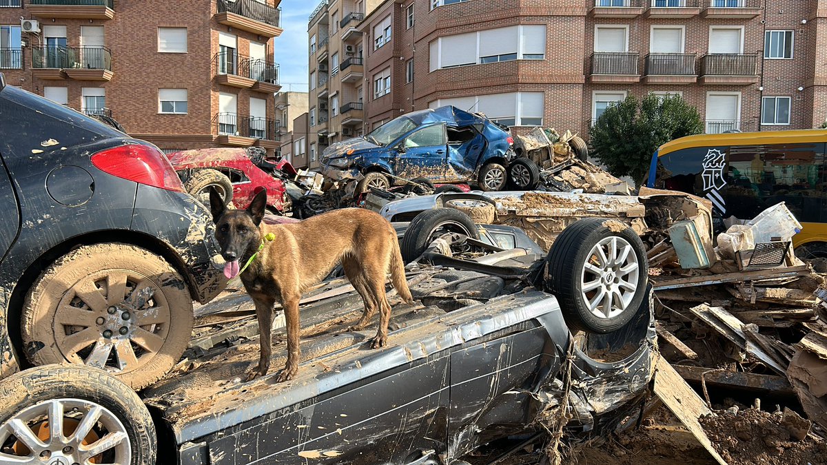 Jose Antonio Duran tweet media