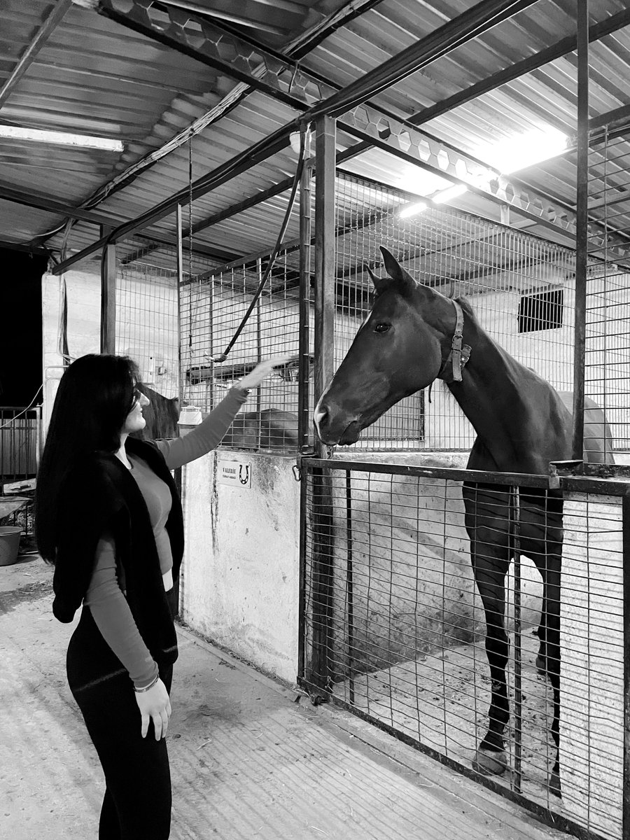 jiyanekk5's tweet photo. Klûba werzîşê ya siwaran a Qibrisê 🏇🏇
#Hesp🐎 https://t.co/AExy7m3IkI