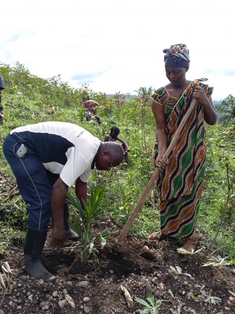 Felicienndori's tweet photo. #CADIM_Mitakataka , aujourd'hui le 9_11_2024,les membres de #CADIM plantent plus de 250 palmiers sur la colline #Giko_kabirizi de la commune Bubanza _superficie de 2ha récemment acquise sur les fonds propres de CADIM.
@Mineagri,
#CADIM_Mitakataka oyeee https://t.co/mLeMijHj7M