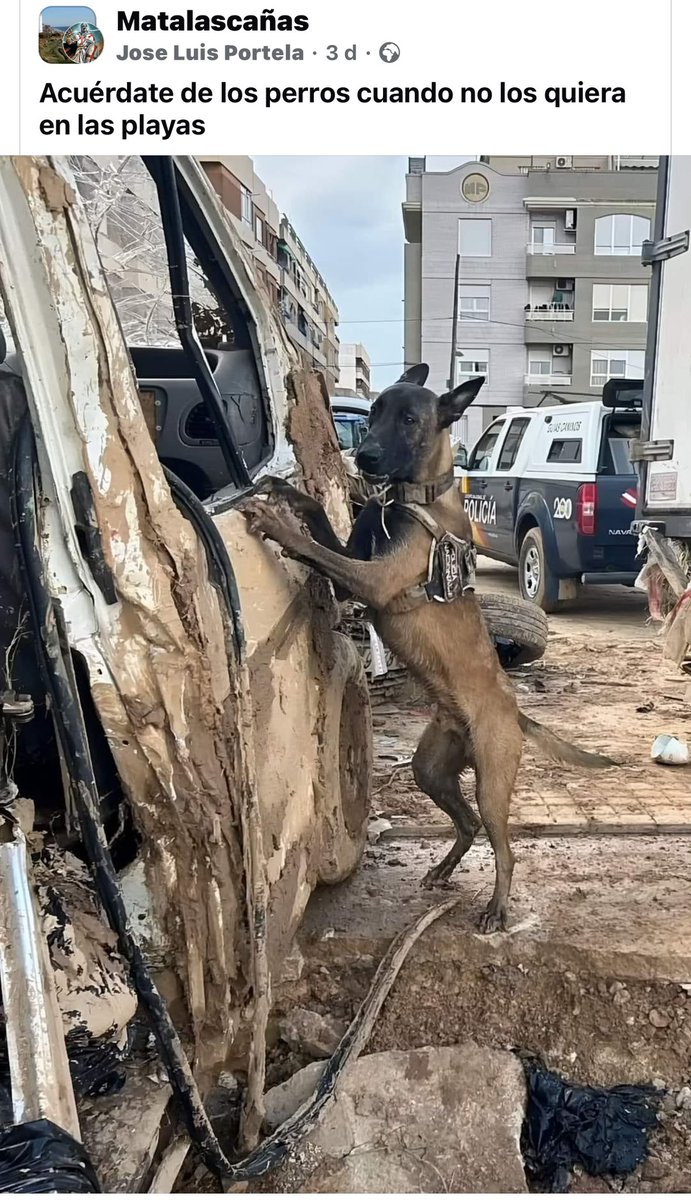 Acuérdate de ellos , cuando dices que no los quieres en las playas