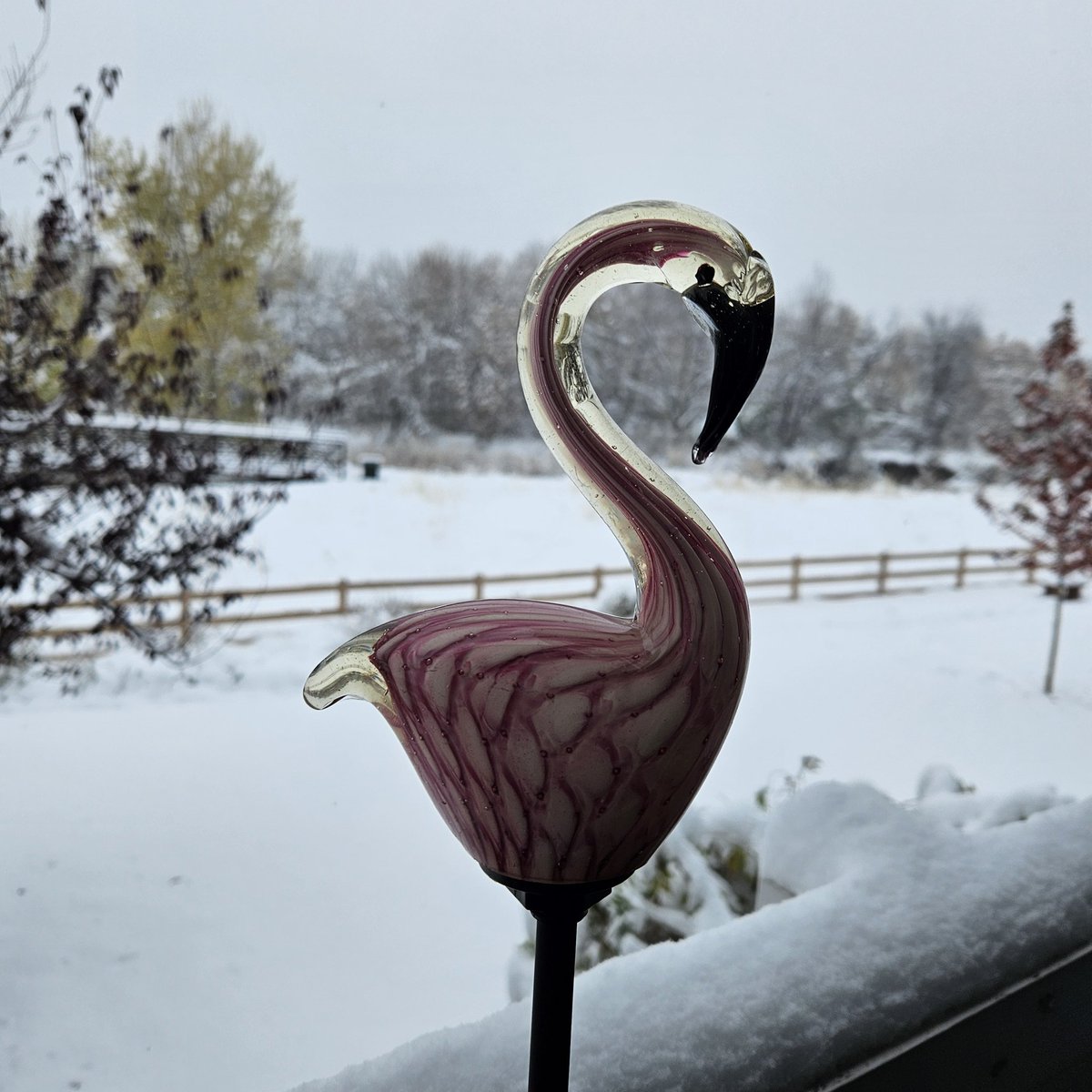 Hwood5280's tweet image. Hard to tell but we probably got 12"+ snow total #Denver #ThaBox