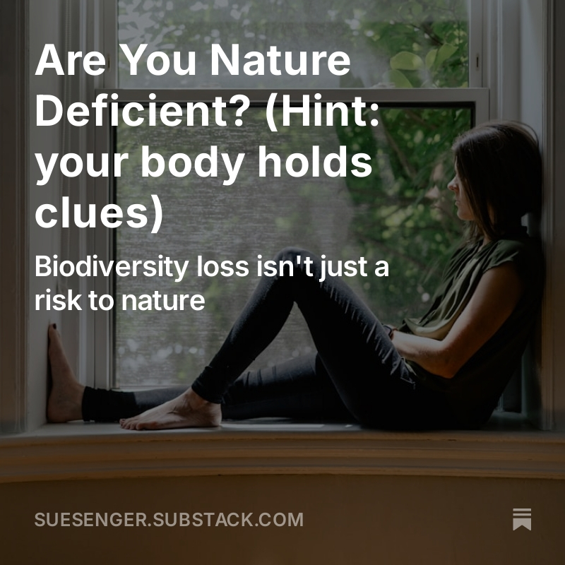 senger_sue's tweet photo. We need to be experiencing nature with all of our senses to reap the health benefits of being "in nature".
#BiodiversityCrisis
#Microbiome
#timeinnature
Are You Nature Deficient? (Hint: your body holds clues) https://t.co/01smMMW920 https://t.co/afGZyPMX4n