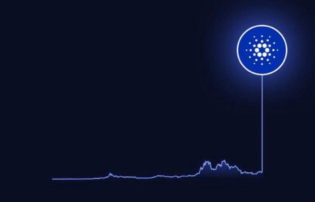 killerwhale tweet media