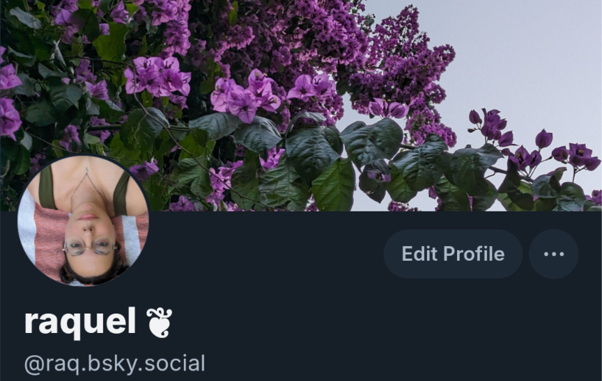 raquel ❦ tweet media