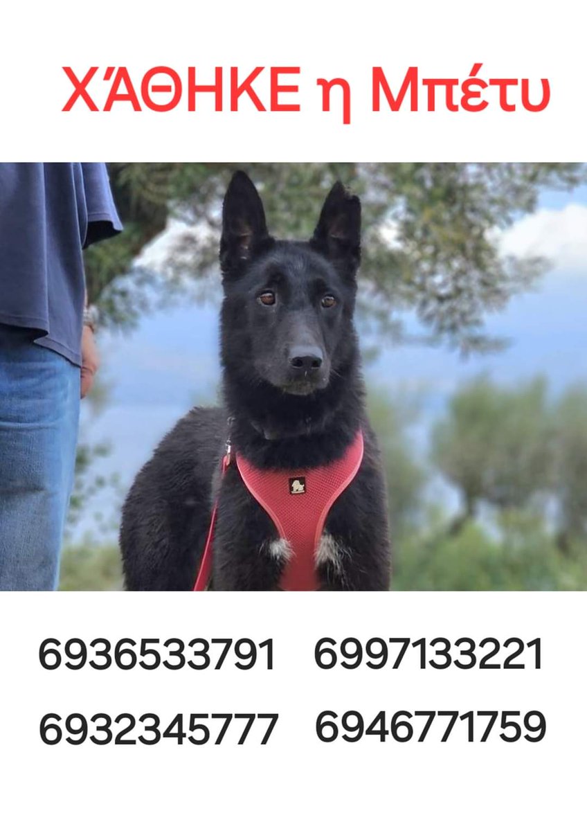 ZbejVty's tweet photo. Παπάγου  -  Χολαργό 
SOS  🆘🆘🆘🆘 https://t.co/MEiq6EtmsT
