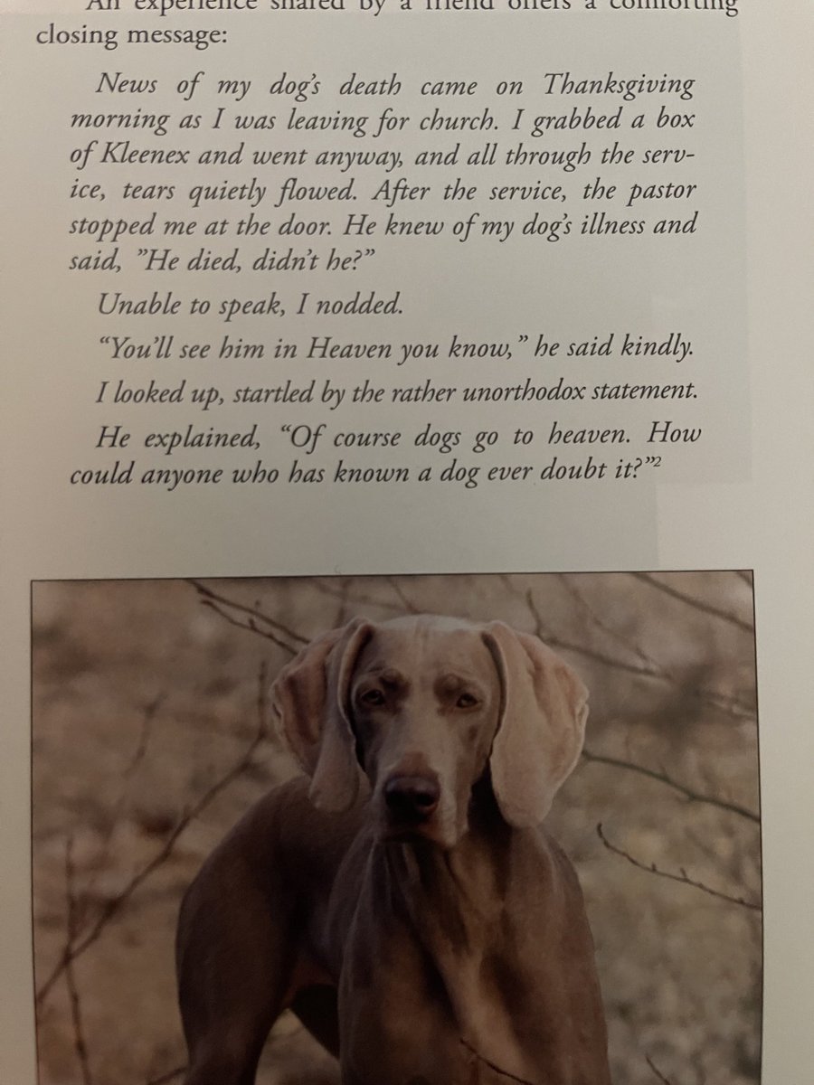 jcollums's tweet image. 