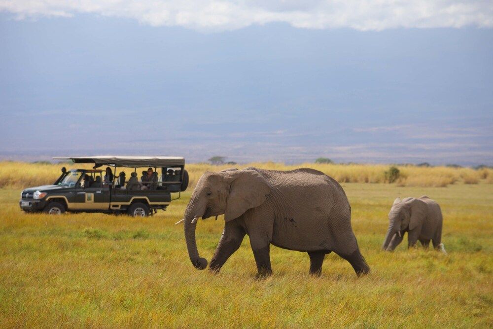 novan_global's tweet photo. Eco-lodge Camp with a prime location for witnessing the majesty of Africa’s highest mountain, Kilimanjaro.

Book your holiday today:
Online:https://t.co/wS2GfesLWI
📞: +254779660060
📧experience@novanglobal.com
🪀https://t.co/SfqSnvEuq7

EXPERIENCE LIFE TODAY https://t.co/hwbI5U8gbJ