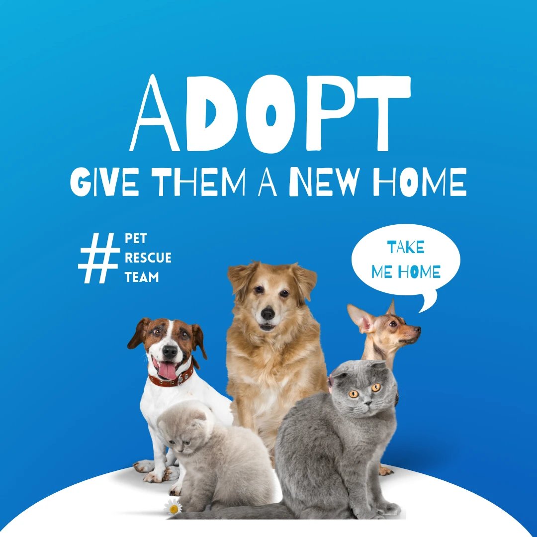 Every adoption saves a life. Be a hero, adopt today!

#worldadoptionday #petrescue #petparent #boisepetsitting #petsitting #pets #dogs #cats #boisedogs #boisecats #boiseidaho