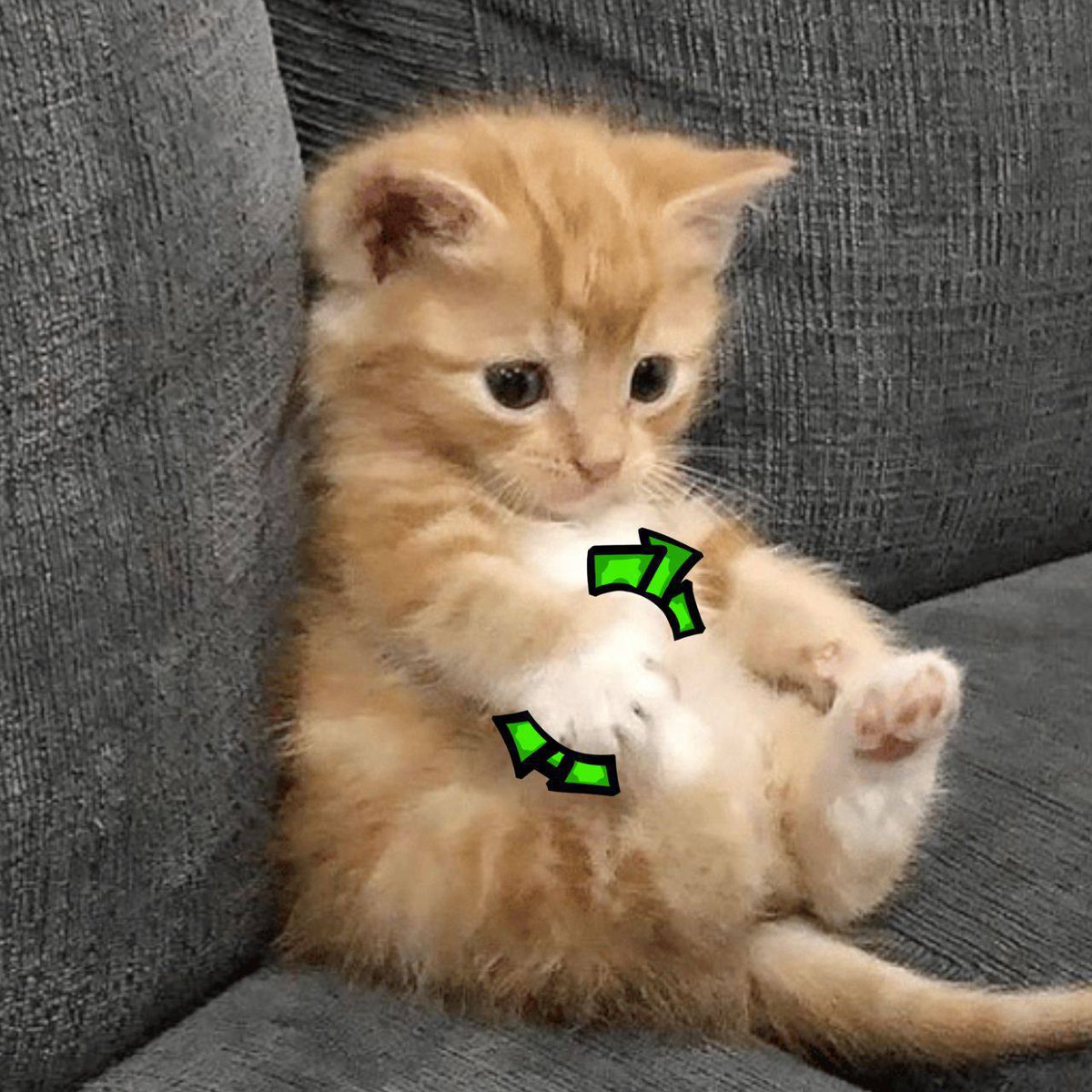 sadbutcoin's tweet photo. A custom $BUT for our holders !

Hope you like it 🤑 https://t.co/Hh4Z8xPoW5