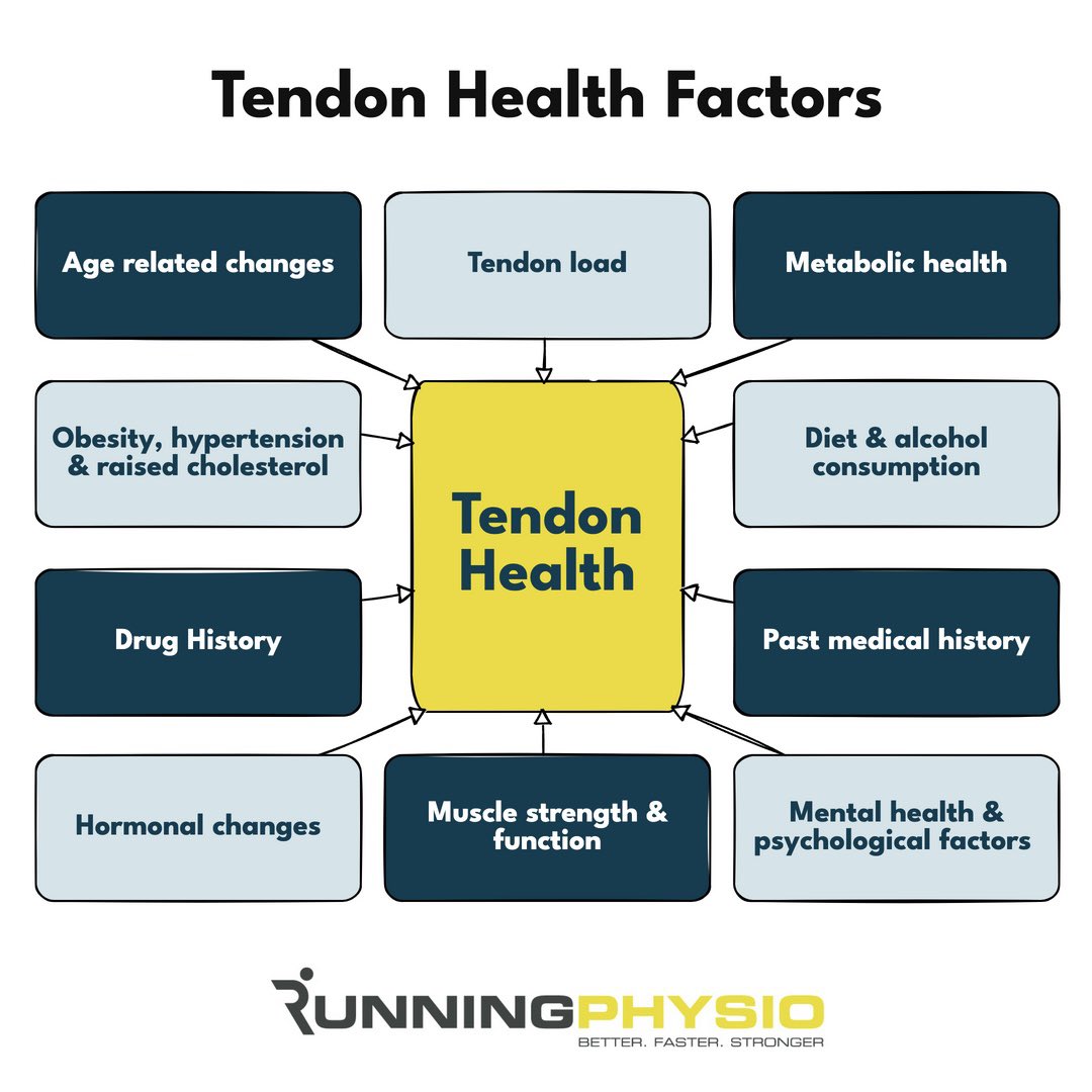 Tendon health is influenced by multiple factors beyond load and muscle function. Have I forgotten anything? 🤔