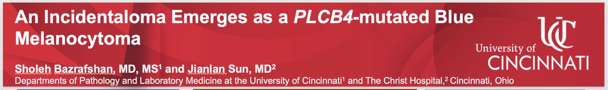 SholehBK's tweet photo. #asdp24 https://t.co/qj7SnMFmhb
