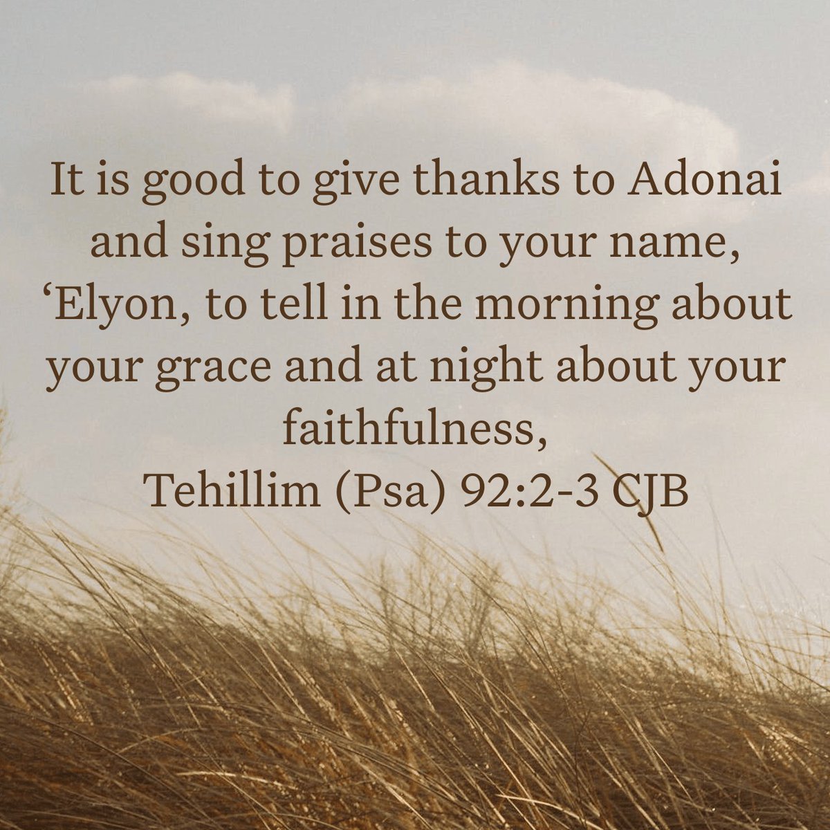 AghedoEki's tweet photo. Shalom🤎 https://t.co/dw5dk45iP4