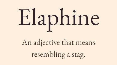 Cian McCarthy tweet media