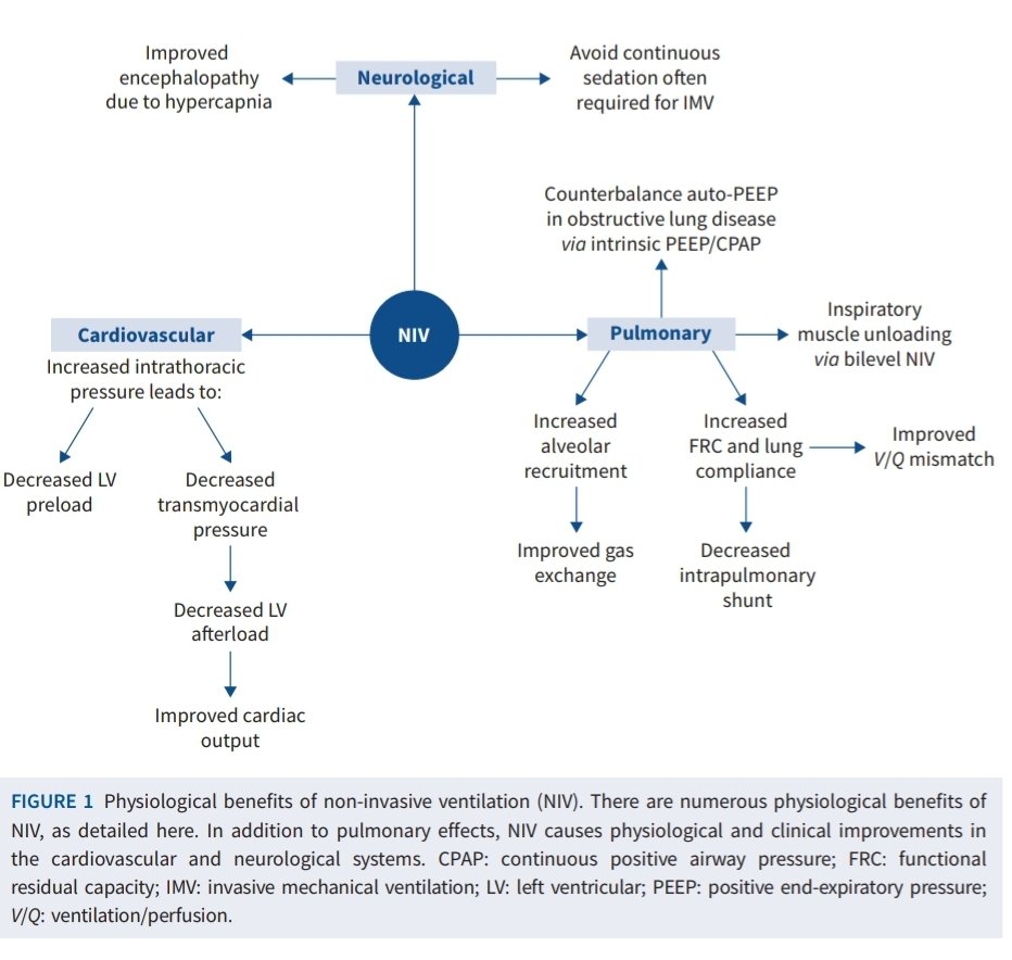 KessnerJp's tweet photo. Ventilación No Invasiva (VNI): una Revisión Clínica de @ERSpublications
🗣🔈🫁🩺🥸📚
https://t.co/wgaloA6fHi
@EuroRespSoc @SeparRespira @NeumoNat @HUReinaSofia @neumoparatodos @SPLF_SocPneumo @pneumosbpt @socapnet @Neumosur @NeumoMadrid @ALATorax @templemedschool https://t.co/rrnsVfEibg
