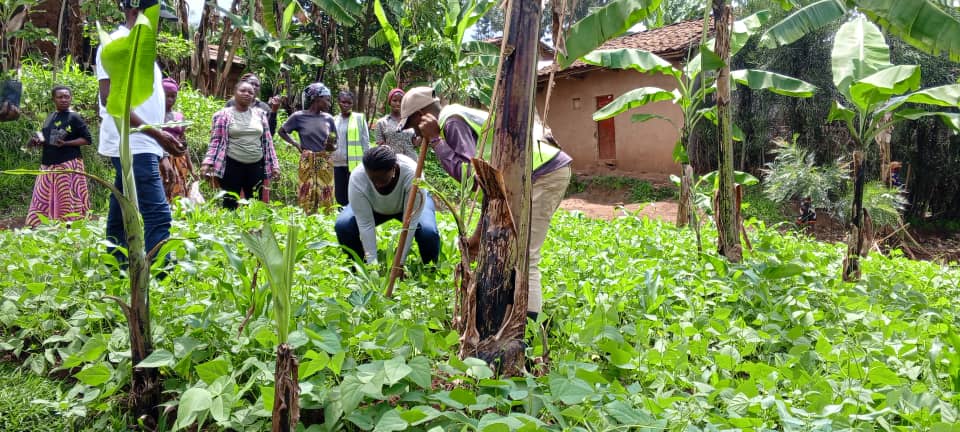 Kuri uyu wa 09/11/2024 <a href="/RwandaYouthVol1/">Rwanda Youth Volunteers</a> ba <a href="/GisagaraDistr/">Gisagara District</a> twakomeje igikorwa cyo gutera ibiti ndetse n'ibindi bikorwa bitandukanye birimo gukurungira amazu, kubaka imirima y'igikoni n'ibindi bikorwa bitandukanye, aho twafatanyije na <a href="/CnfGisagara/">Cnf Gisagara</a>
<a href="/GisagaraNyc/">Gisagara National Youth Council</a> 
<a href="/Rwandapolice/">Rwanda National Police</a>