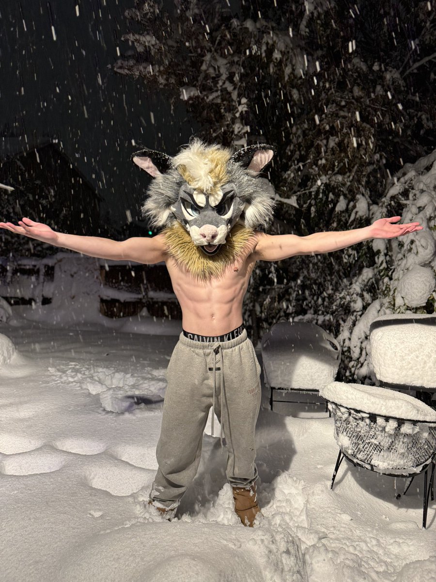 snow sharkdog ☃️🦈🐕