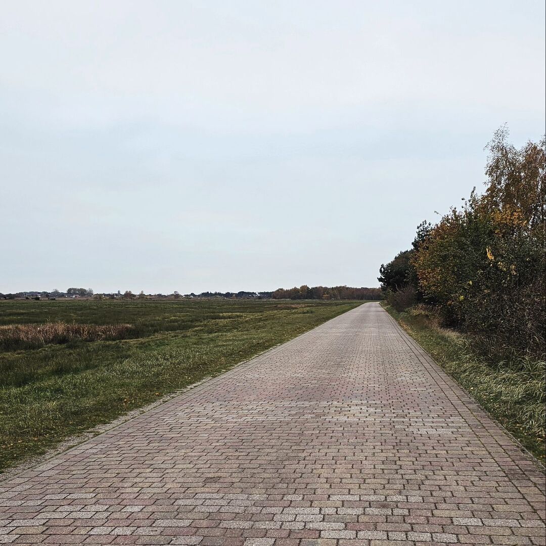 hiddenseeforum's tweet photo. Im November ist man auf der Insel Hiddensee mitunter ganz alleine unterwegs.
#november #november🍁 #inselliebe #hiddensee_moments #hiddenseeliebe #inselmomente #inselleben #hiddenseeforum #inselsehnsucht #inselhiddensee #novemberphotoaday https://t.co/1Z2BTtmtu5