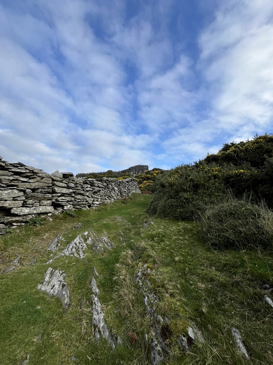 A magical day started with a walk in #barmouth; starting on the beach and then a hearty climb up   #coedcaffelleast, back to town, bacon sarnies in #wendyscafe and a little retail therapy. This afternoon a surprise visit from James Large and Beverly Peake 🥾🐕⛅️