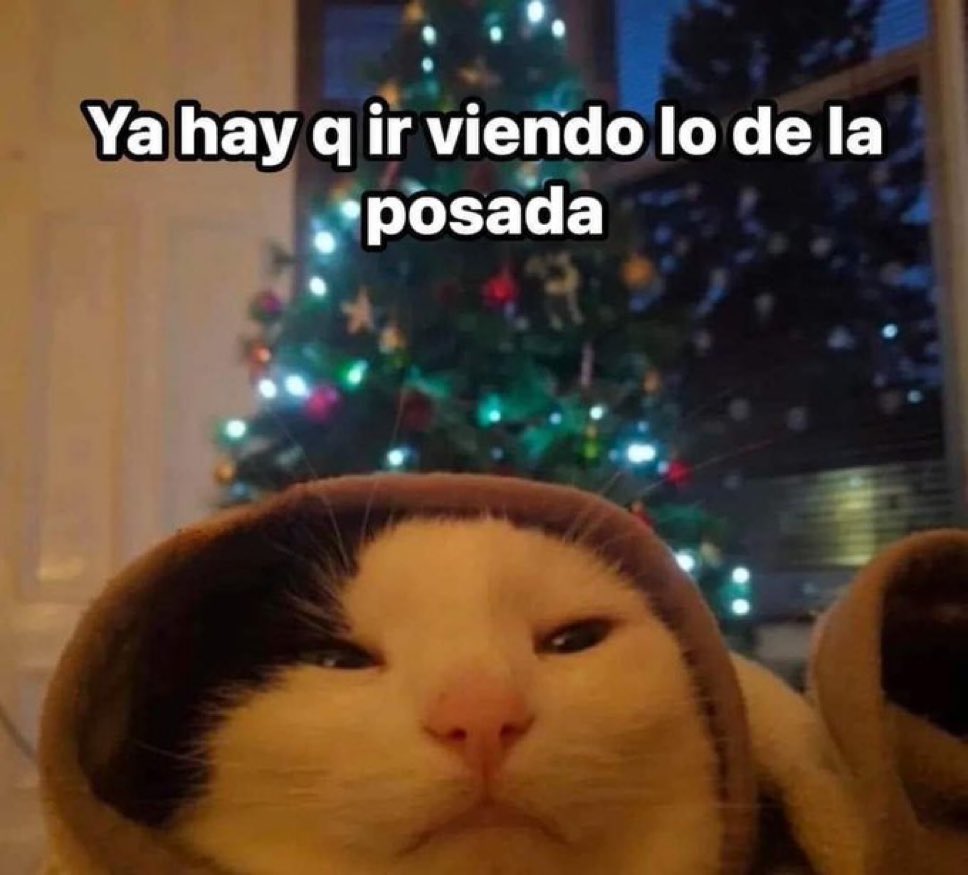 MexicoMagico's tweet photo. https://t.co/atR0PgFC4o