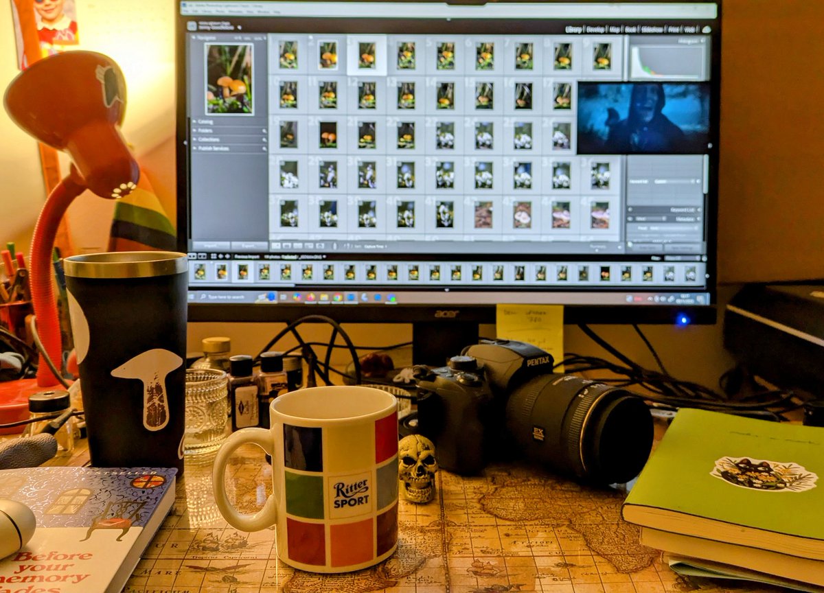 A bit brew and a bit Lightroom before tea.