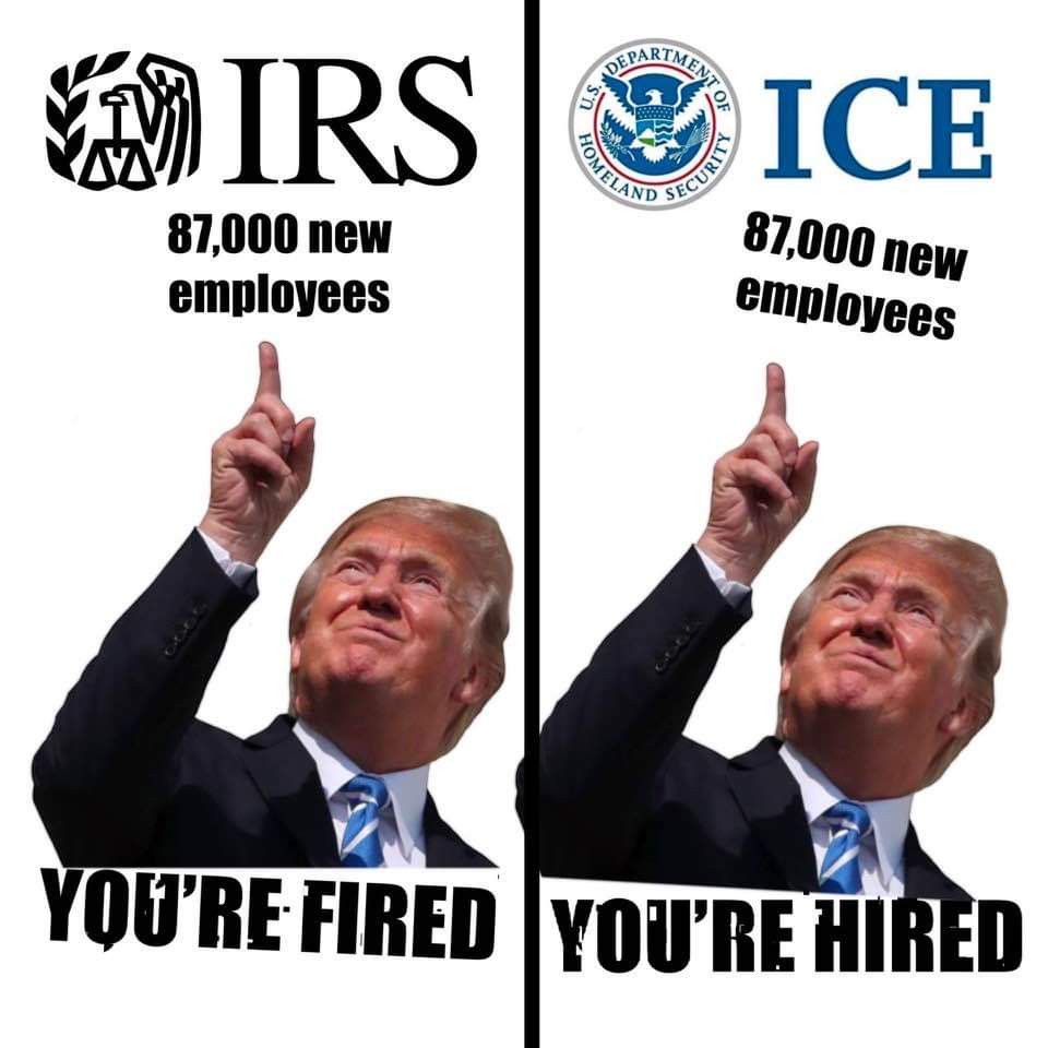 Gamma_Monkey's tweet image. #trump #Trump2024