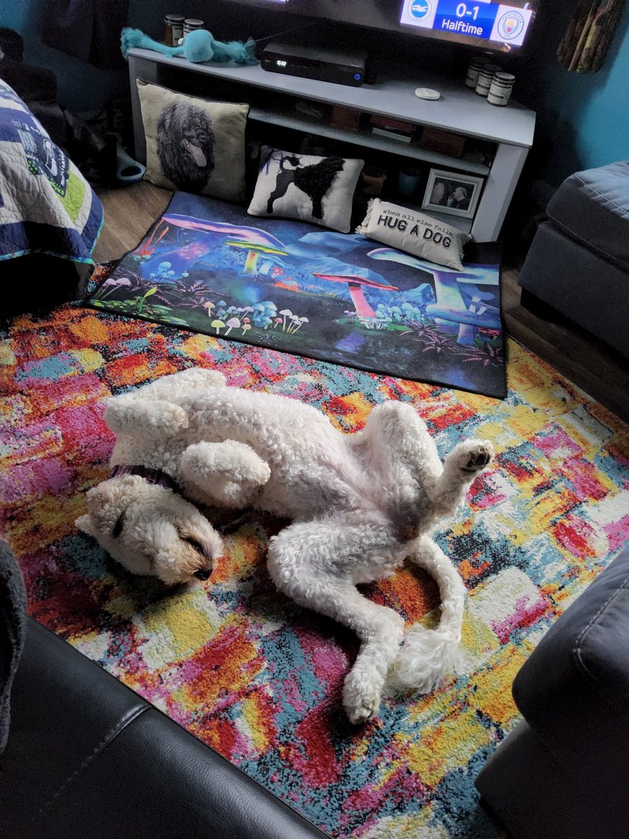 Laurie Hardman tweet media