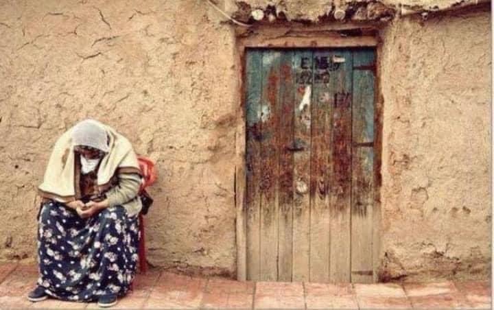 "Kök salamadığın toprak seni çürütür..."