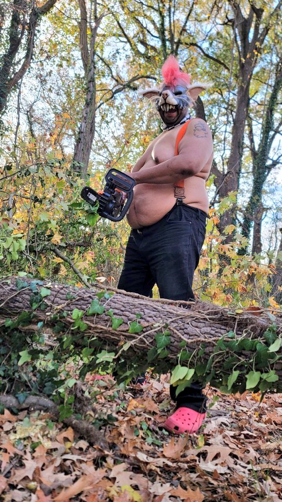 Pig_Meatball's tweet photo. Nice weather out lately. Let's saw up some trees for firewood later!!!
GNYAAAGH!!! *fat rat noises* https://t.co/hINlzGARoE