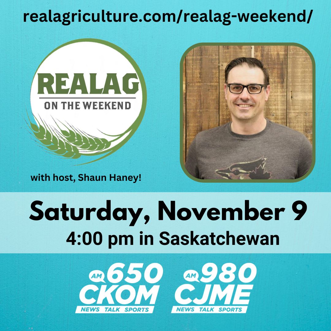 RealAgriculture (@realagriculture) on Twitter photo Catch #RealAgWeekend at 4pm on <a href="/CKOMNews/">650 CKOM</a> <a href="/CJMENews/">980 CJME</a>. <a href="/shaunhaney/">Shaun Haney</a> discusses U.S. election outcome and new Sask ag minister. Then hear #BeefMarketUpdate w/ <a href="/AnneWasko/">Anne Wasko</a> of Gateway Livestock Exchange, @KidCorn1 w/ <a href="/GrainFoxApp/">GrainFox</a> on markets, & Greg Northey w/ @PulseCanada on port woes Catch #RealAgWeekend at 4pm on <a href="/CKOMNews/">650 CKOM</a> <a href="/CJMENews/">980 CJME</a>. <a href="/shaunhaney/">Shaun Haney</a> discusses U.S. election outcome and new Sask ag minister. Then hear #BeefMarketUpdate w/ <a href="/AnneWasko/">Anne Wasko</a> of Gateway Livestock Exchange, @KidCorn1 w/ <a href="/GrainFoxApp/">GrainFox</a> on markets, & Greg Northey w/ @PulseCanada on port woes