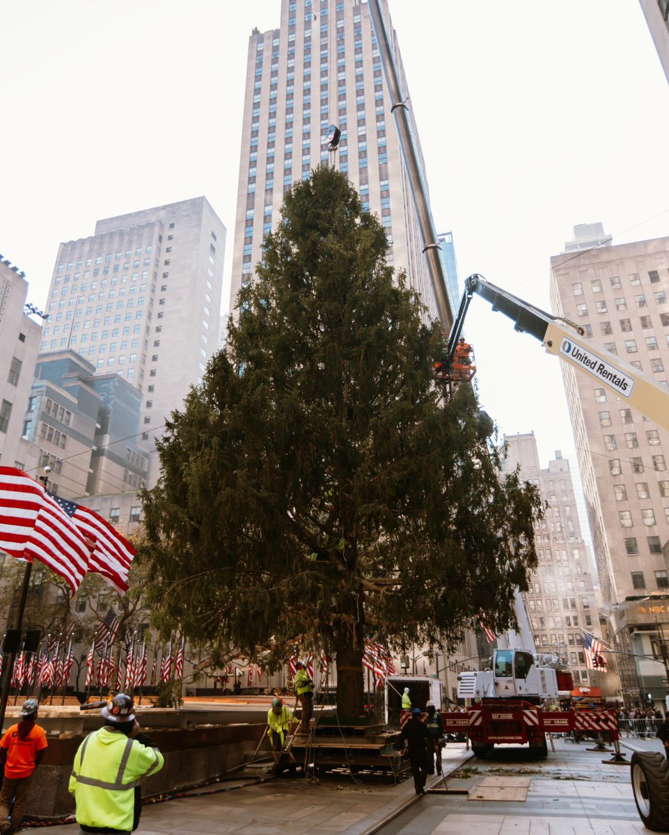 The 2024 Rockefeller Center Christmas Tree is officially here. Now it’s time to decorate 🎄