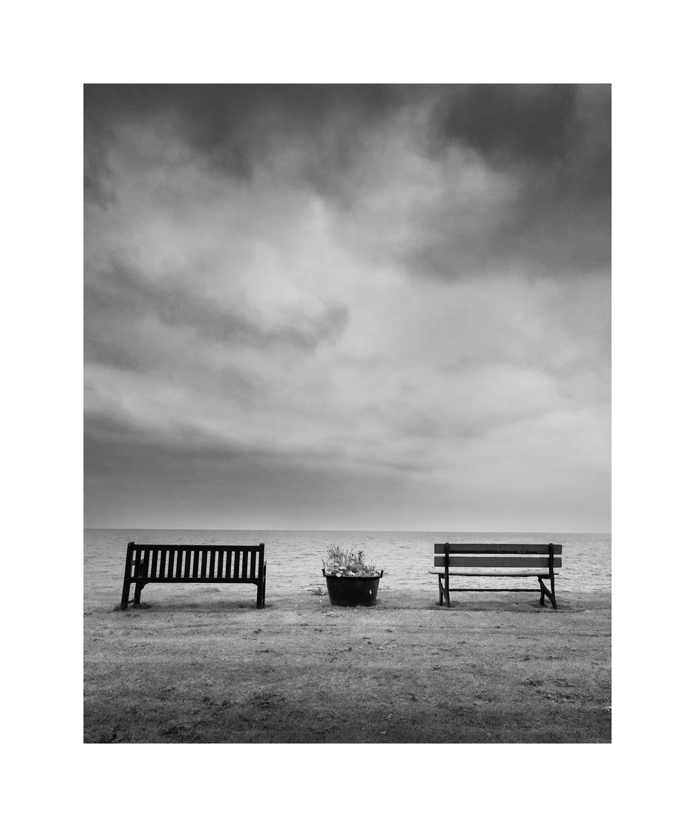 Dylan Nardini tweet media