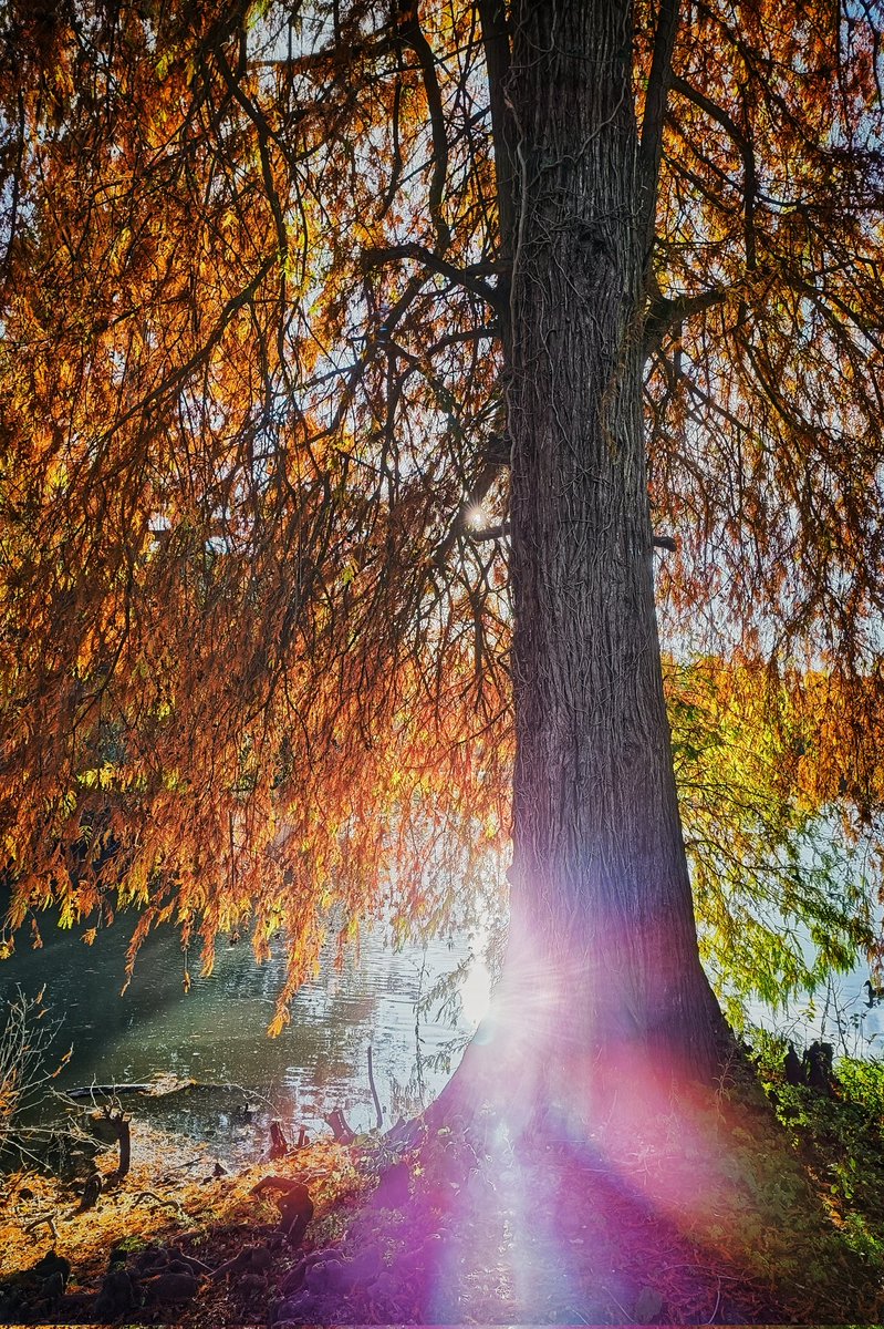 Couleurs et lumière d'automne 🤩