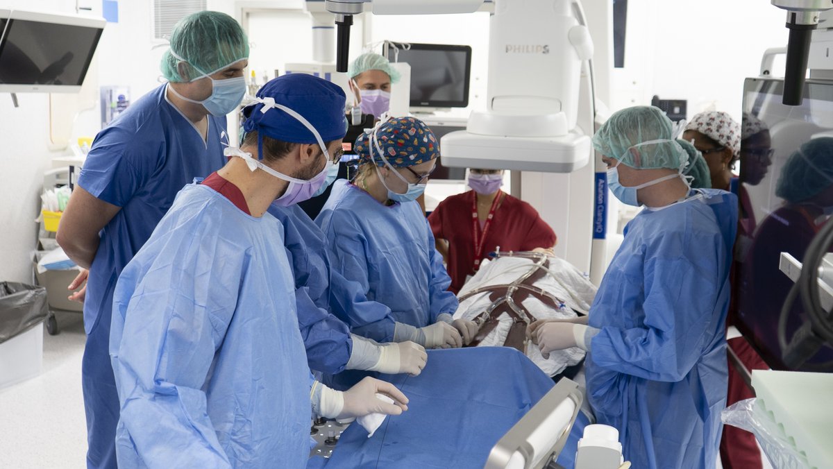 El Servei d’Angiologia i Cirurgia Vascular de l'#hbellvitge organitza el 2on curs multidisciplinari sobre maneig del pacient amb ruptura aòrtica de l’European Society of Vascular Surgery.
Tota la informació 👉 ja.cat/L8vlx
#orgullbellvitge