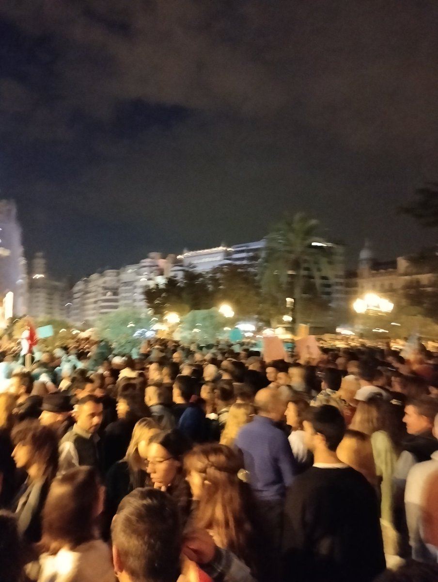 goldenwitch86's tweet photo. València llena de la estación al Ajuntament

Si Mazón no dimite le tienen que hacer dimitir https://t.co/NGDBBKmqG3