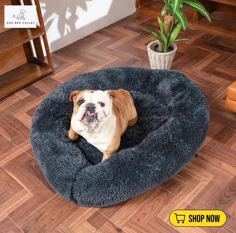 dogbedvalley's tweet photo. Did you know? A comfy bed can help reduce anxiety in dogs! 🛏️ Our Comfy Calming Dog Bed has a raised rim for security and ultra-soft filling for the ultimate relaxation. Give them the bed of their dreams! 🐾
Shop Now: https://t.co/bwpxWKKHFn

#CalmingDogBed #dogbedvalley #DogBed https://t.co/fFjOZcwaJ5