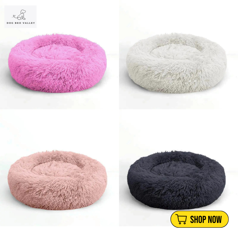 dogbedvalley's tweet photo. Did you know? A comfy bed can help reduce anxiety in dogs! 🛏️ Our Comfy Calming Dog Bed has a raised rim for security and ultra-soft filling for the ultimate relaxation. Give them the bed of their dreams! 🐾
Shop Now: https://t.co/bwpxWKKHFn

#CalmingDogBed #dogbedvalley #DogBed https://t.co/fFjOZcwaJ5